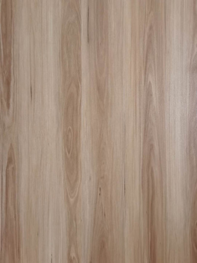 Blackbutt