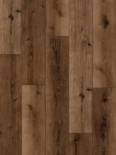 Alpine Oak