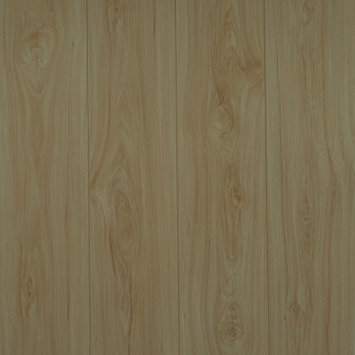 Asian White Oak
