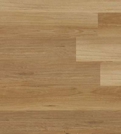 Australian Blackbutt