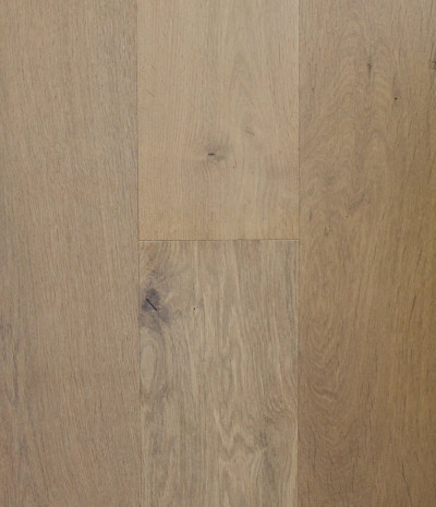 Canyon Oak