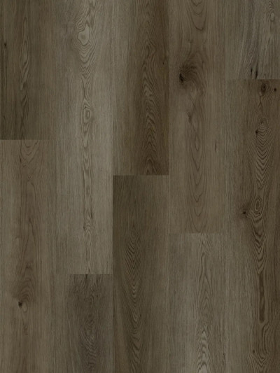 Black Forest Oak