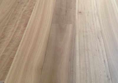 Blackbutt 1 strip