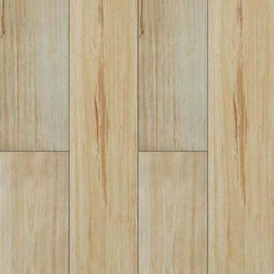 Blackbutt
