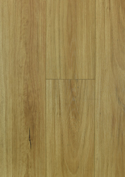 Blackbutt