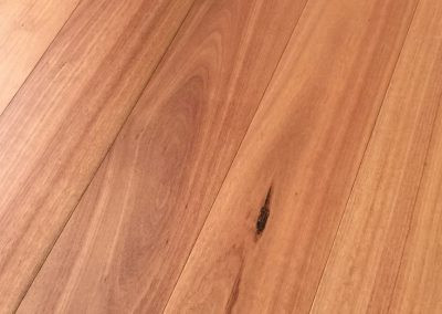 Blue Gum 1 strip