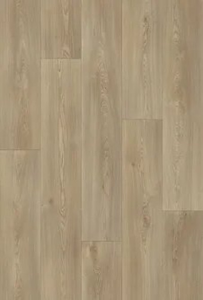 Columbian Oak 161M