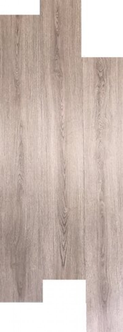 Grey Eucalyptus