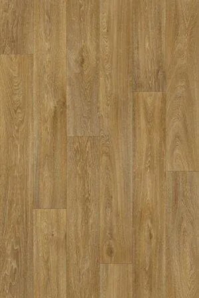 Havanna Oak 634M