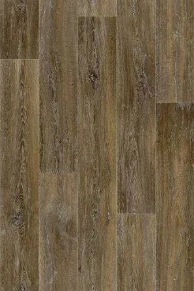 Lime Oak 649D
