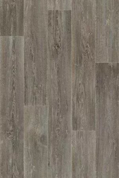Lime Oak 976M