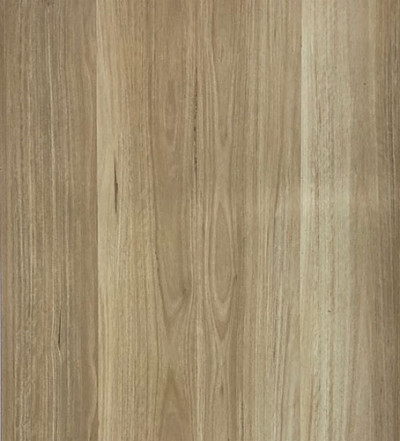 NSW Blackbutt