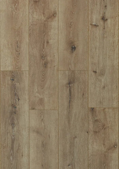 Oak Amelia
