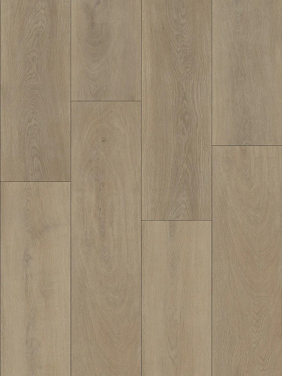 Oak Sofia