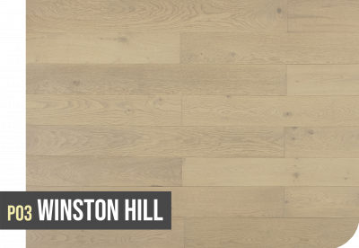 P03 WINSTON HILL