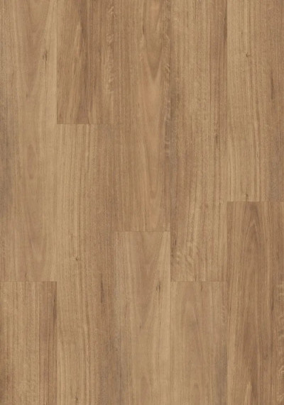 QLD Spotted Gum