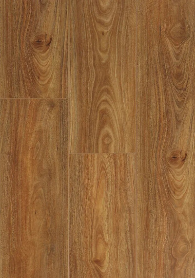 Spotted Gum- Aqua