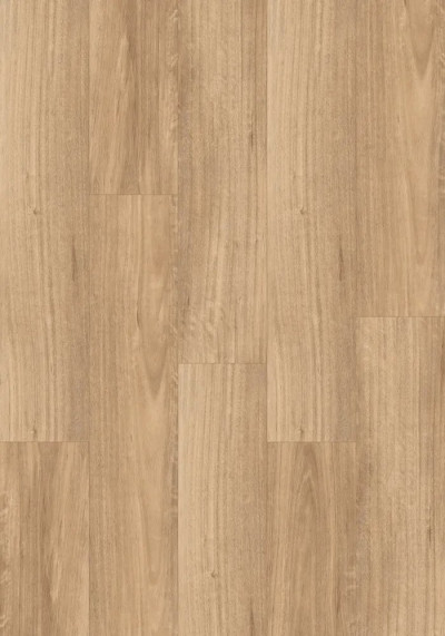 Spotted Gum Light