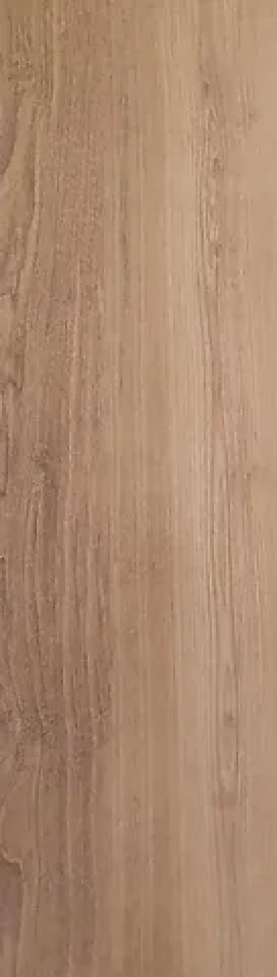 Vivid 188