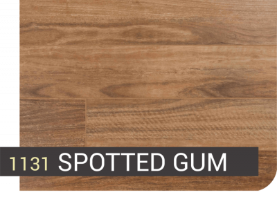 1131 SPOTTED GUM