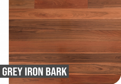 Grey Iron Bark
