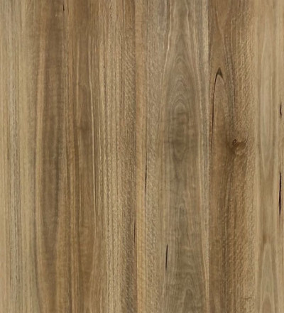 NSW Spotted Gum