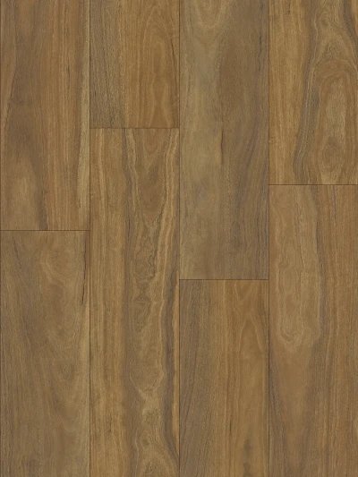 Spotted Gum Hybrid