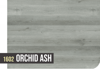 1602 ORCHID ASH