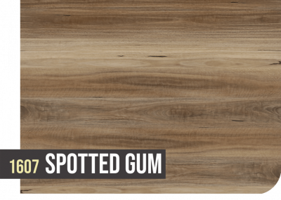 1607 SPOTTED GUM