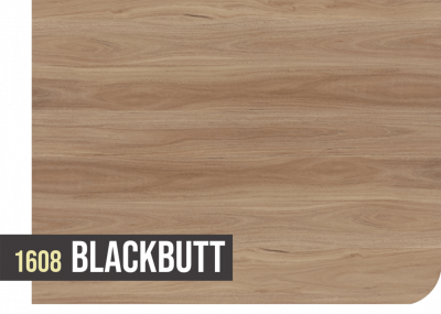 1608 BLACKBUTT