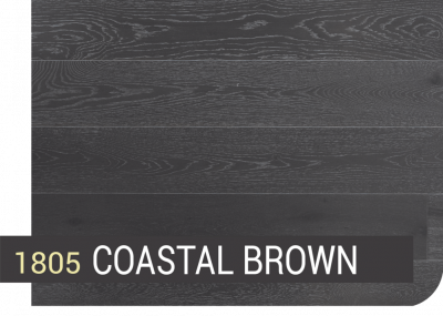 1805 COASTSAL BROWN