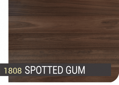 1808 SPOTTED GUM