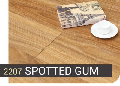 2207 SPOTTED GUM