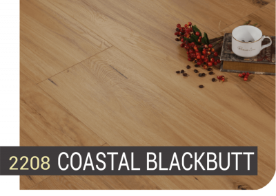 2208 COASTAL BLACKBUTT