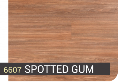 6607 SPOTTED GUM