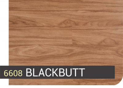 6608 BLACKBUTT