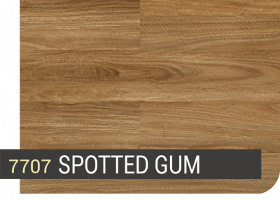 7707 SPOTTED GUM
