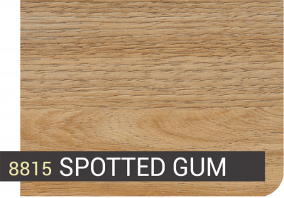 8815 SPOTTED GUM