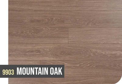9903 MOUNTAIN OAK