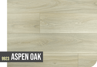 9923 ASPEN OAK