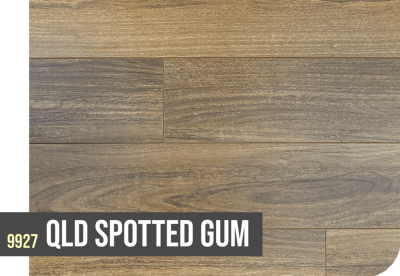 9927 QLD SPOTTED GUM