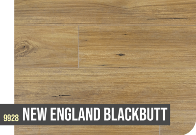 9928 NEW ENGLAND BLACKBUTT