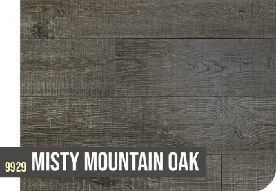 9929 MISTY MOUNTAIN OAK