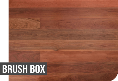 BRUSH BOX