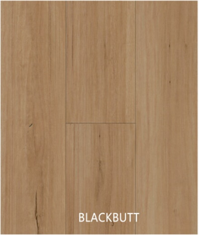 Hybrid Blackbutt