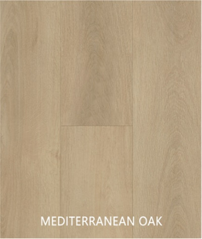 Hybrid Mediterranean Oak