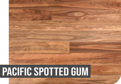 PACLFIC SPOTTED GUM