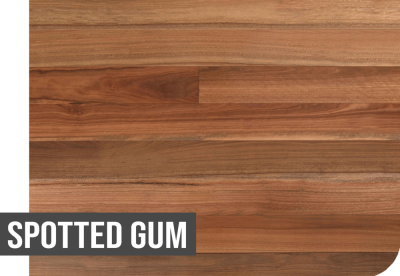 SPOTTED GUM