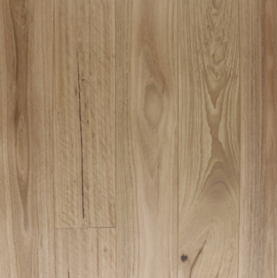 Solid Blackbutt